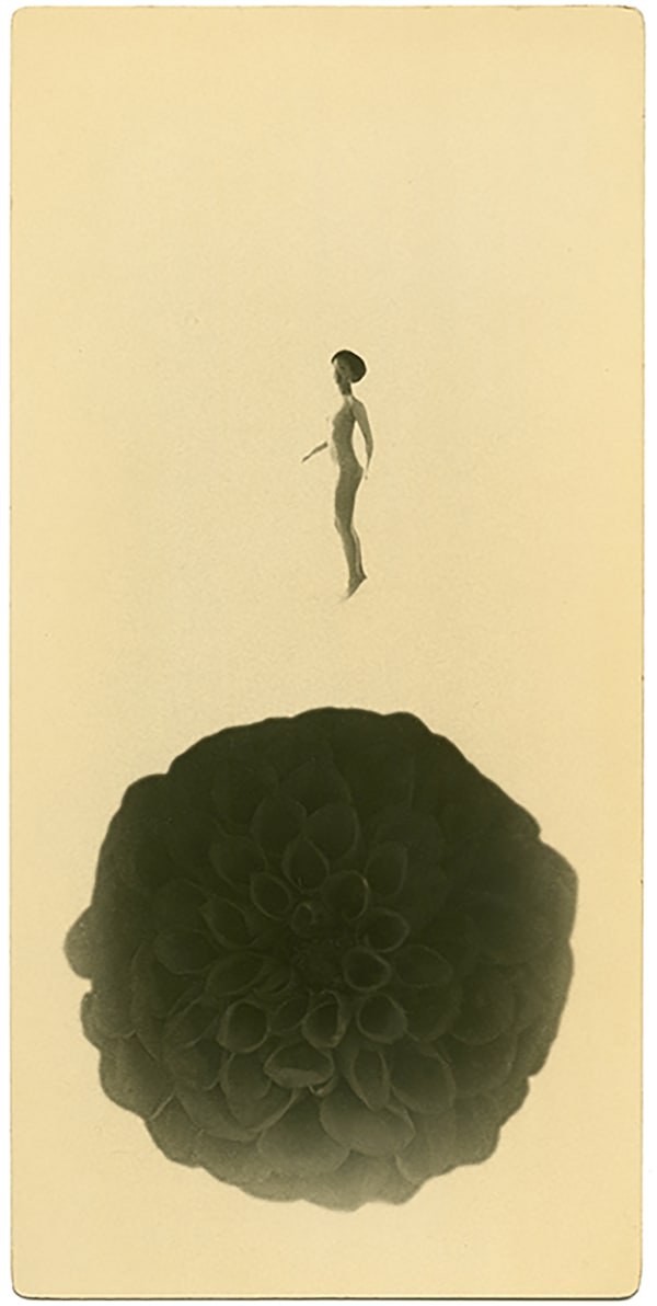 Miho Kajioka, BK0308, 2018