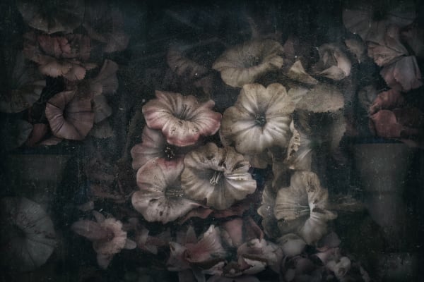 Christopher Thomas, Eternity 18, Rome, Italy, 2011