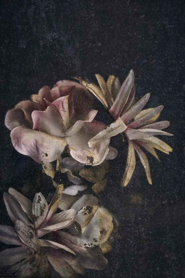 Christopher Thomas, Eternity 66, Buenos Aires, Argentina,, 2010