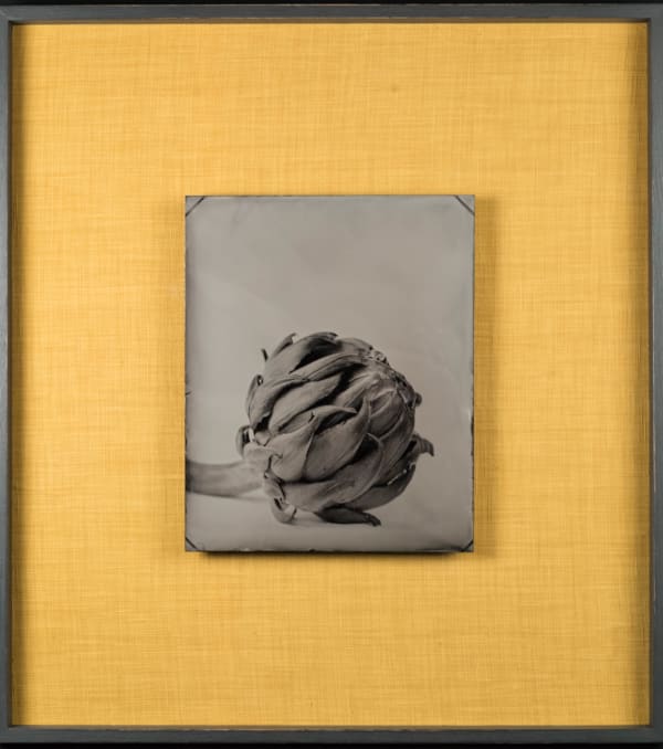 Steffen Diemer, Artischocke, WVZ 988, 2024