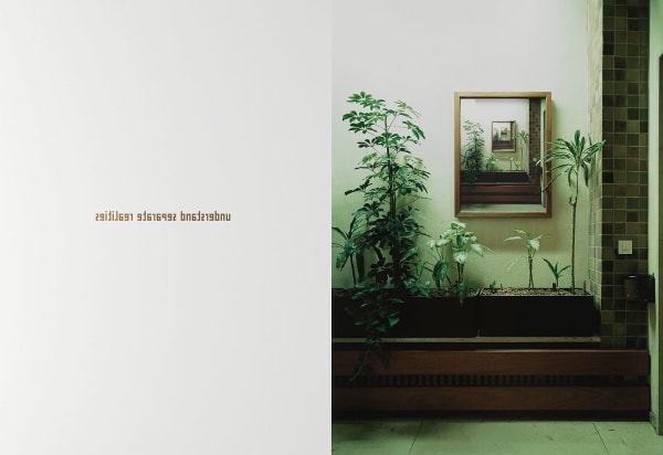 Christopher Thomas, Understand separate realities, 2011