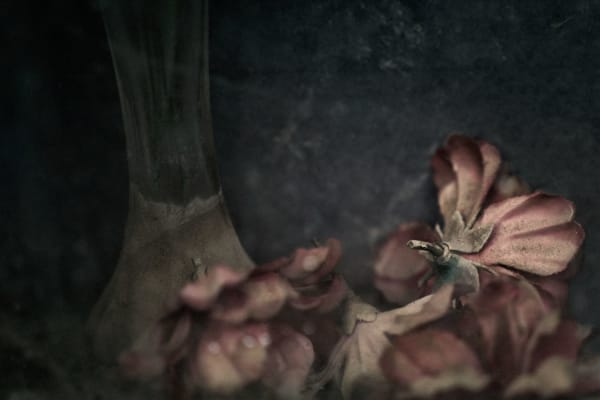 Christopher Thomas, Eternity 20, 2009