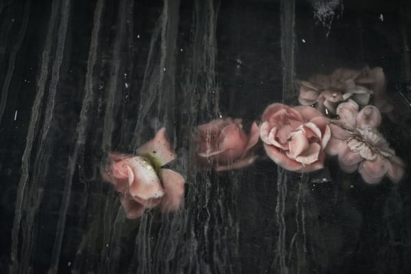 Christopher Thomas, Eternity 28, Cordoba, Spain, 2008