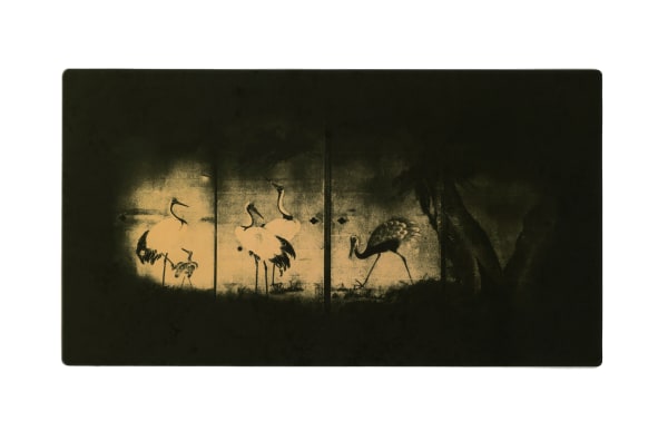 Miho Kajioka, BK0411, 2019