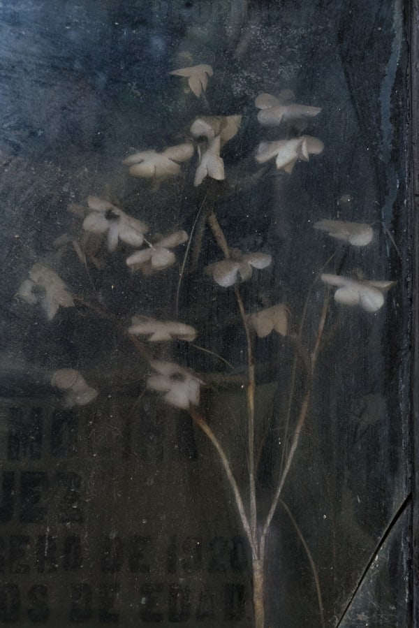 Christopher Thomas, Eternity 30, 2007