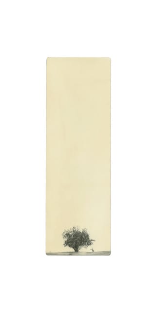 Miho Kajioka, BK0350, 2018