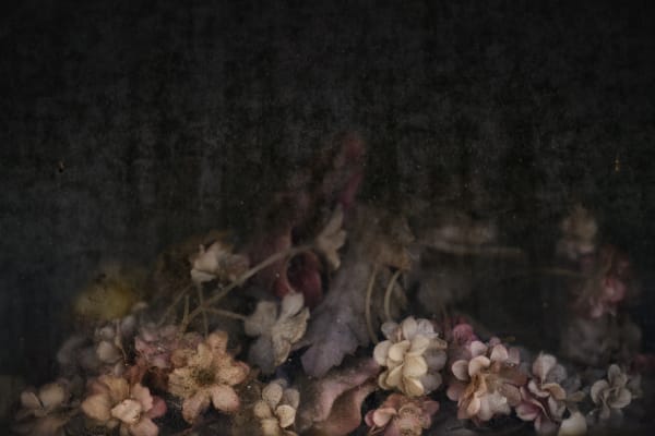 Christopher Thomas, Eternity 104, 2009