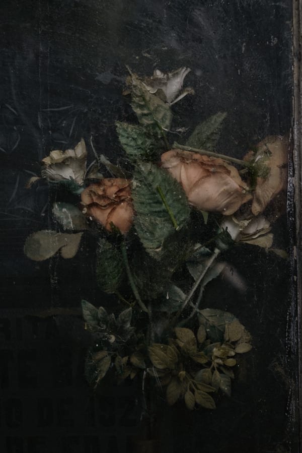 Christopher Thomas, Eternity 103, 2010