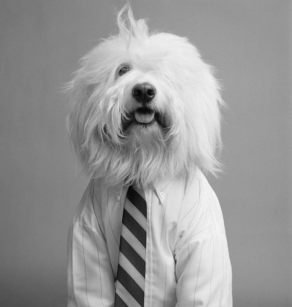 William Helburn, Hueby, "Meet Hueby Breckenridge", Helburn Studio, NYC, 1967