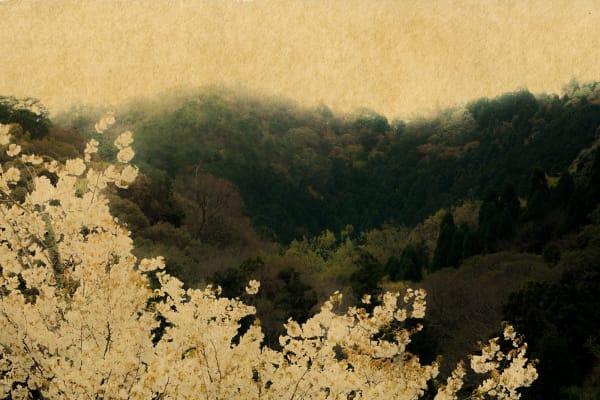 Albarrán Cabrera, The Mouth of Krishna #1001, 2018