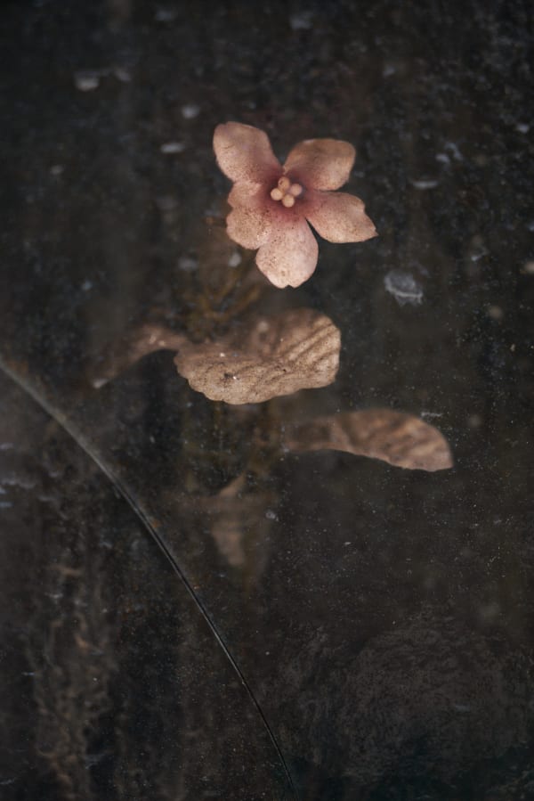 Christopher Thomas, Eternity 26, Cordoba, Spain, 2009