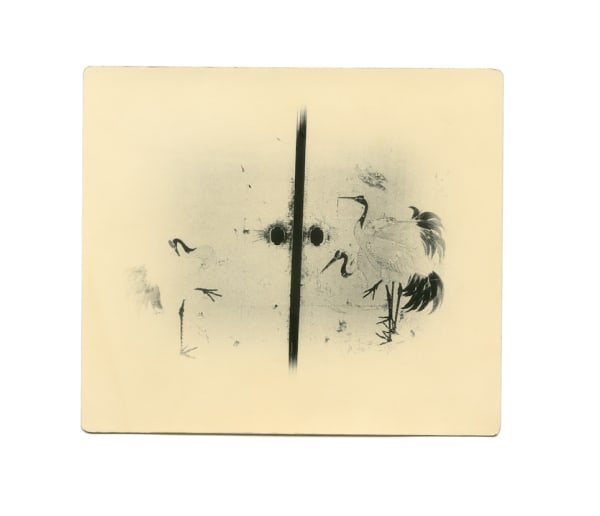 Miho Kajioka, BK0392, 2018