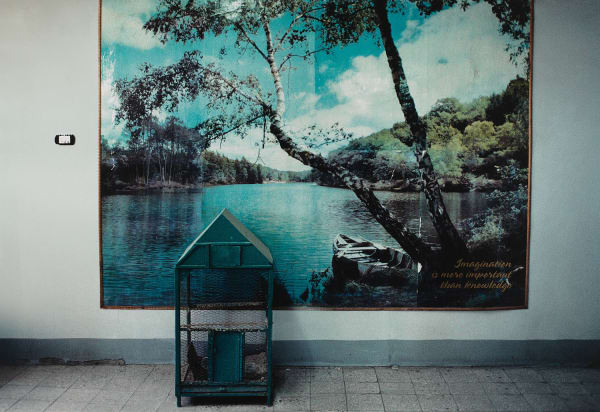 Christopher Thomas, Imagination is more important than knowledge, 2011