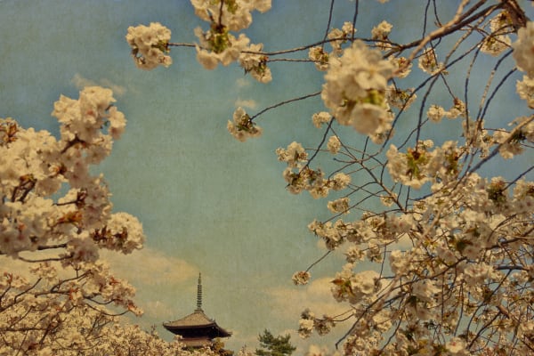 Albarrán Cabrera, The Mouth of Krishna, #756, 2018