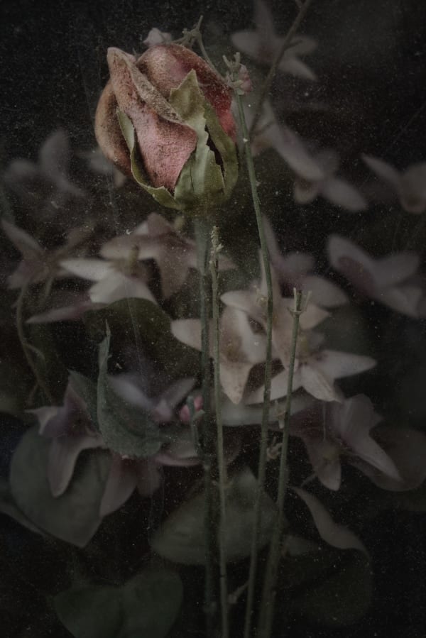 Christopher Thomas, Eternity 57, 2009