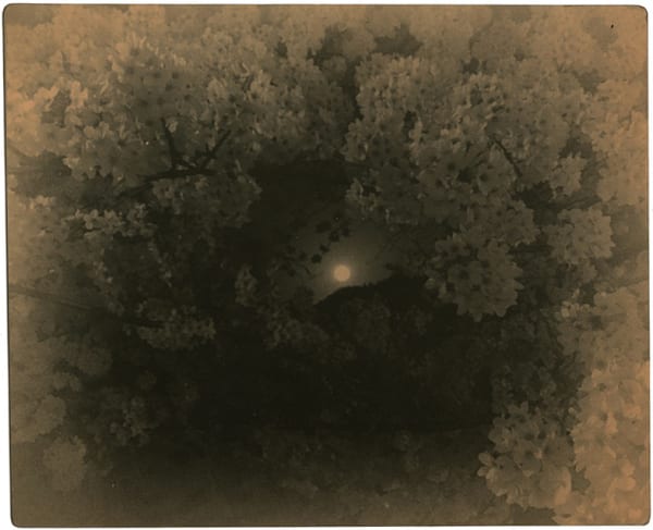 Miho Kajioka, BK0333, 2018