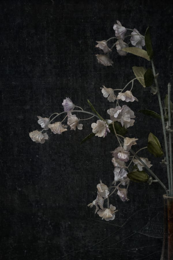 Christopher Thomas, Eternity 99, 2005