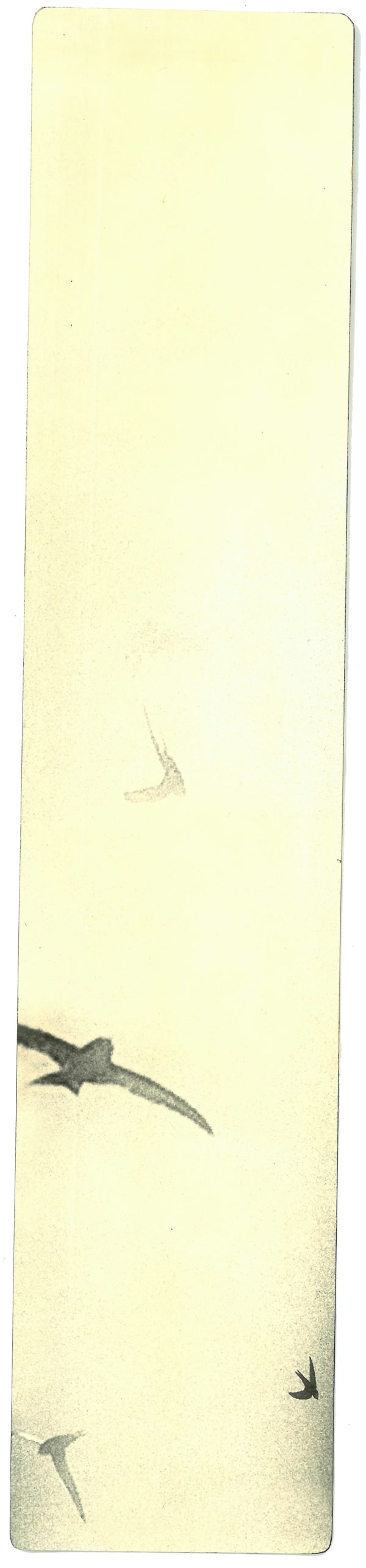 Miho Kajioka, BK0509, 2019