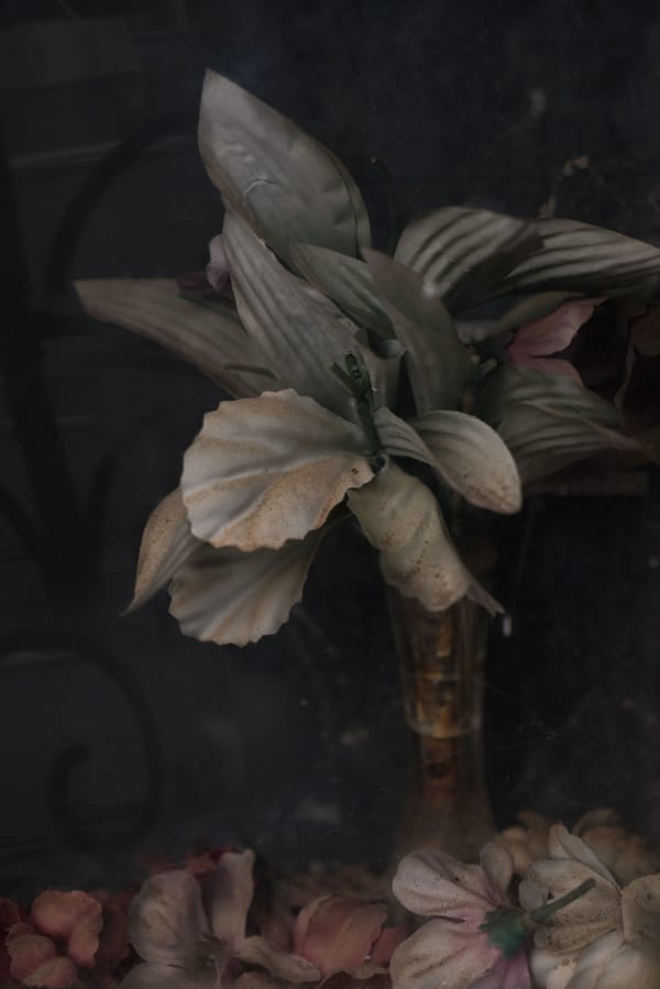 Christopher Thomas, Eternity 19, 2010