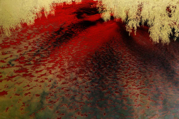 Albarrán Cabrera, The Indestructible #70011, 2024