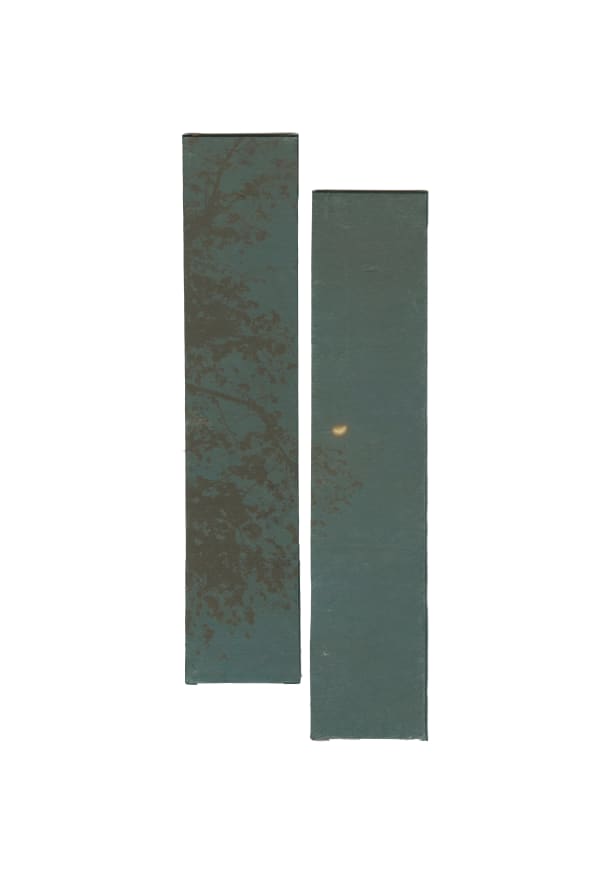 Miho Kajioka, CL0032, 2024