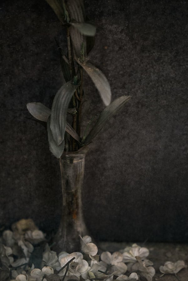 Christopher Thomas, Eternity 07, 2008