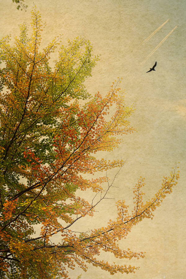 Albarrán Cabrera, The Mouth of Krishna #426, 2016