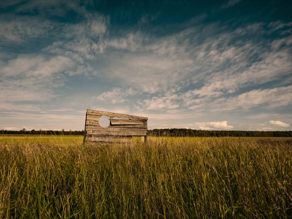 Christopher Thomas, Bittersweet 113, 2019