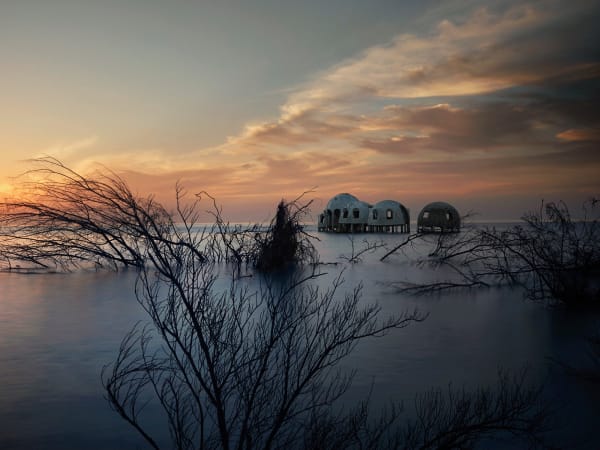 Christopher Thomas, Bittersweet 62, 2012