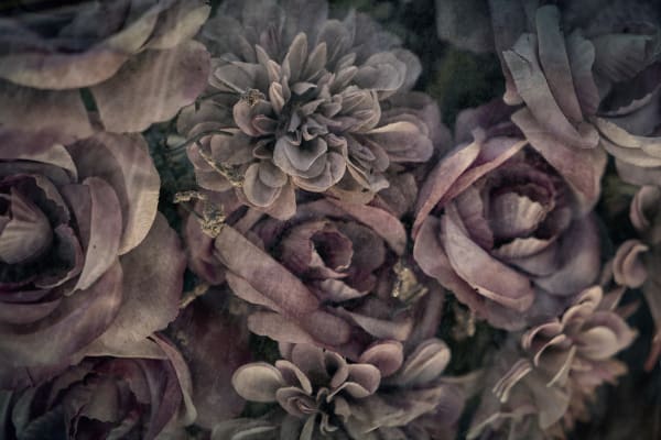 Christopher Thomas, Eternity 41, 2008