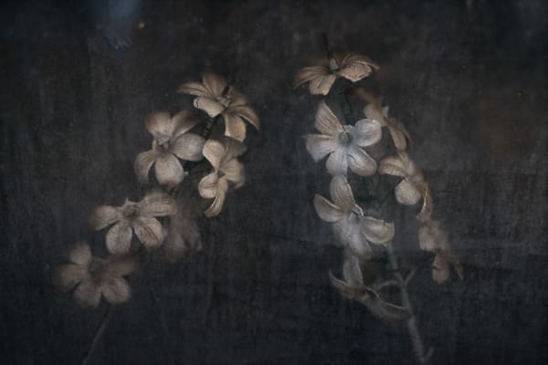 Christopher Thomas, Eternity 16, 2006