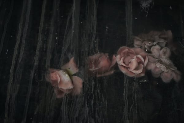 Christopher Thomas, Eternity 28, 2008