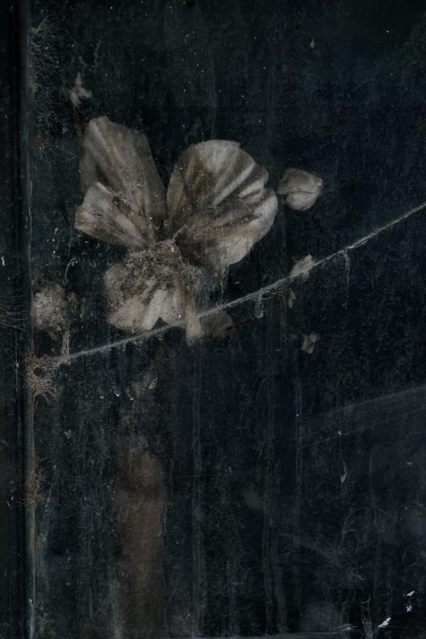 Christopher Thomas, Eternity 92, 2011