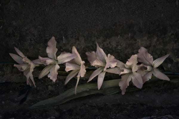 Christopher Thomas, Eternity 45, 2007