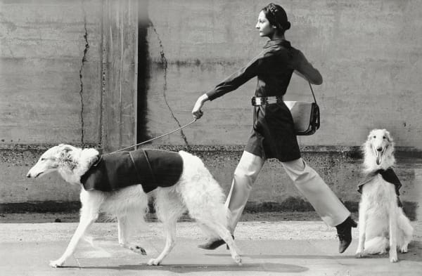 Norman Parkinson, Chandrika Angadi , wearing Saint Laurent, published in Vogue, July, 1970