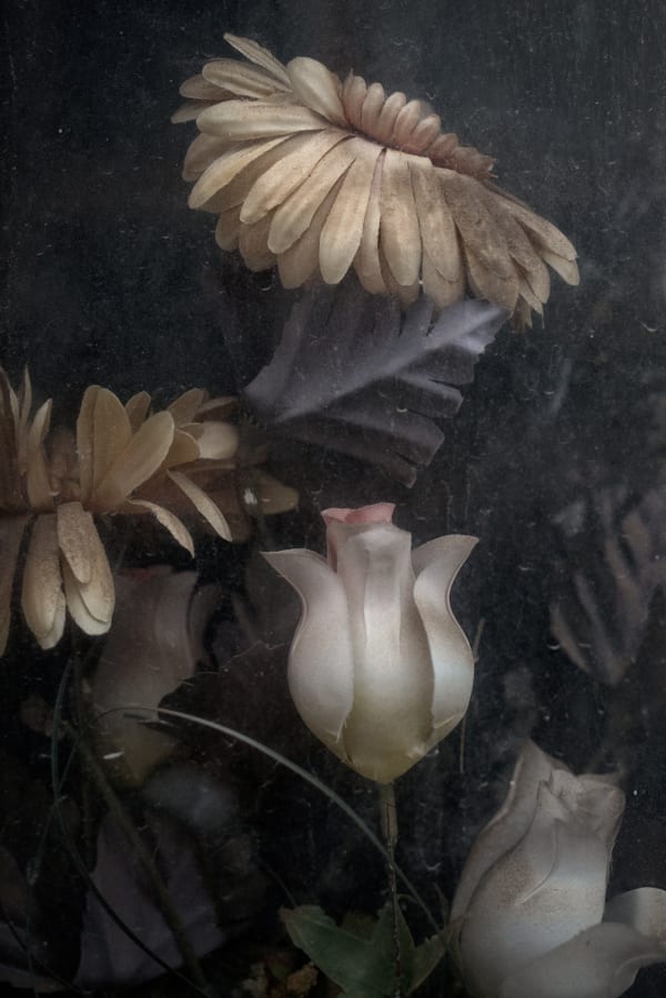 Christopher Thomas, Eternity 36, Cordoba, Spain, 2008