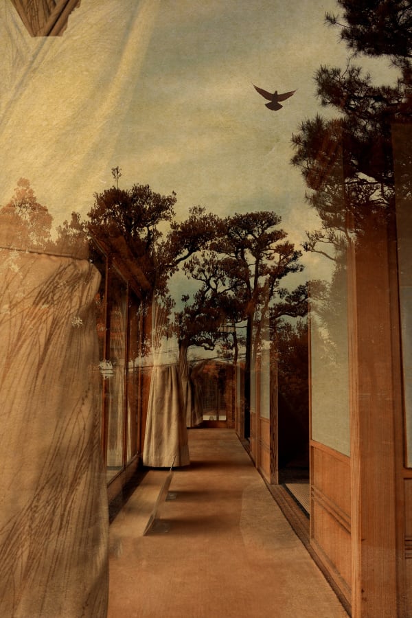 Albarrán Cabrera, The Mouth of Krishna, #60766, 2018