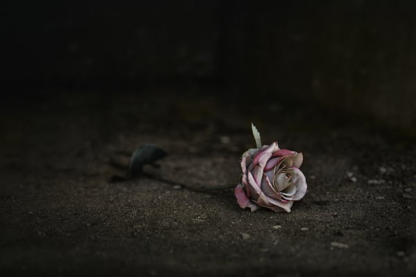 Christopher Thomas, Eternity 43, Barcelona, Spain, 2005