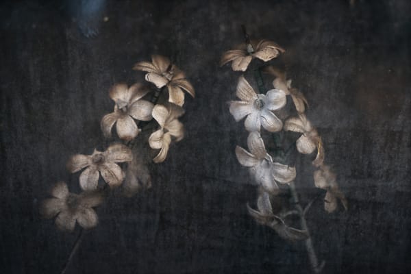 Christopher Thomas, Eternity 16, Granada, Spain, 2006