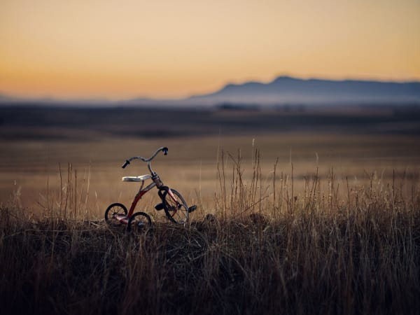 Christopher Thomas, Bittersweet 02, 2012