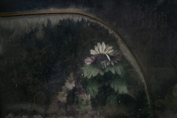 Christopher Thomas, Eternity 17, 2009