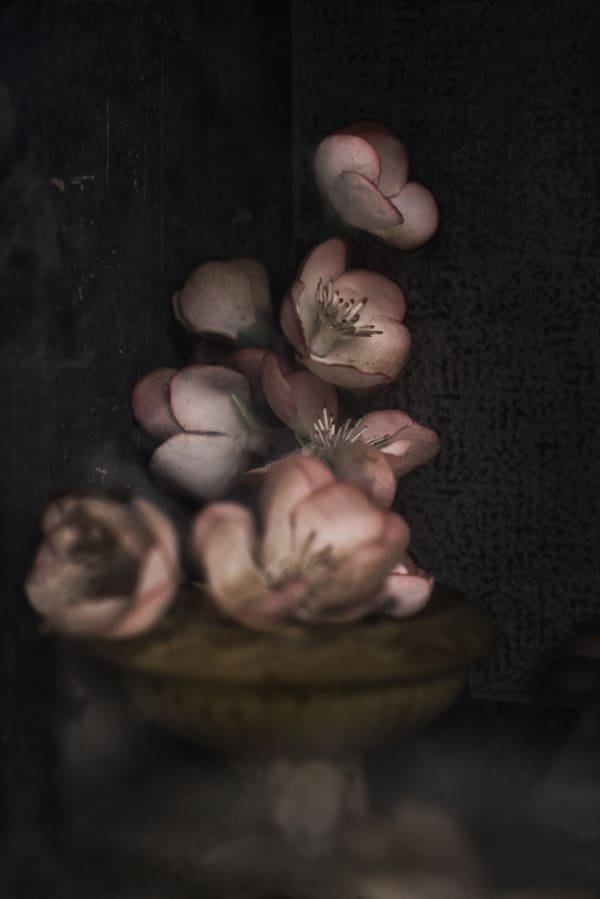 Christopher Thomas, Eternity 71, Sevilla, Spain, 2009