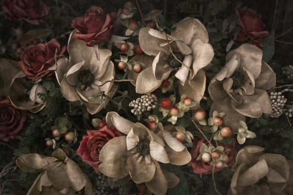 Christopher Thomas, Eternity 23, Virginia, USA, 2015