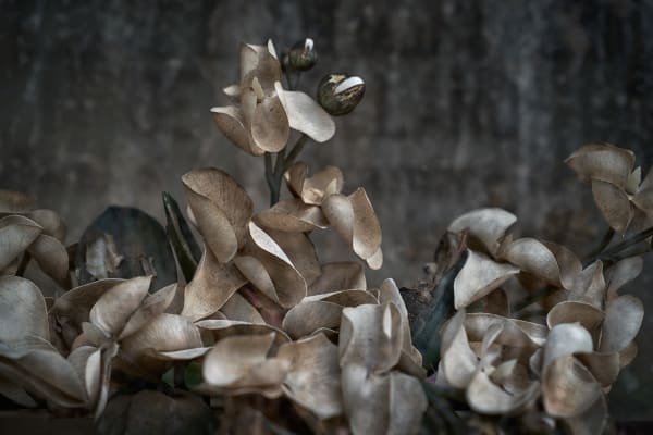 Christopher Thomas, Eternity 05, Napoli, Italy, 2005