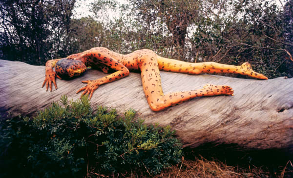 Franco Rubartelli, Veruschka, Leopard, Rome, 1967