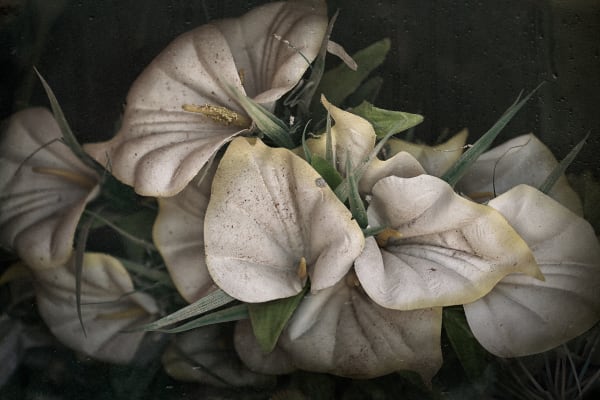 Christopher Thomas, Eternity 34, Virginia, USA, 2005