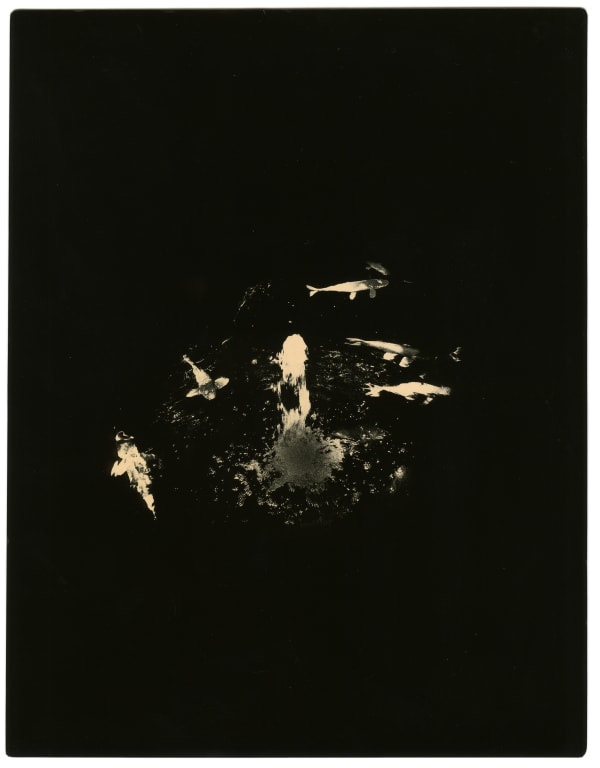 Miho Kajioka, BK0362, 2018