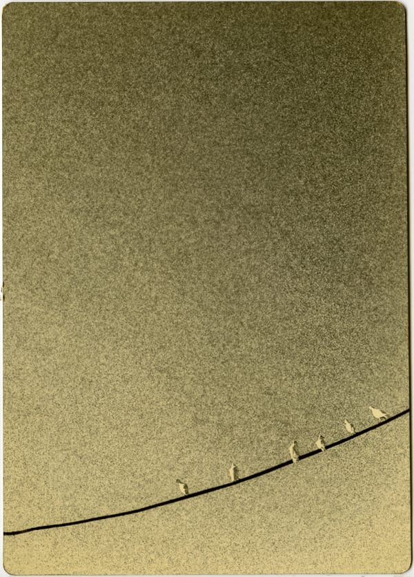 Miho Kajioka, #0005, 2020