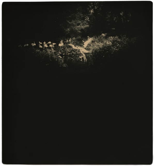 Miho Kajioka, BK0465, 2019