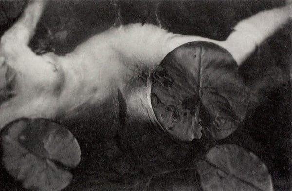 Chantal Elisabeth Ariëns, Healing or Drowning #2, 2020